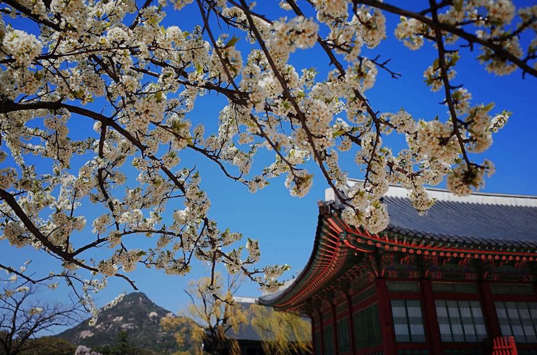 Gyeongbokgung