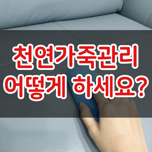  가죽소파관리 불스원 천연가죽크리너 로션 추천