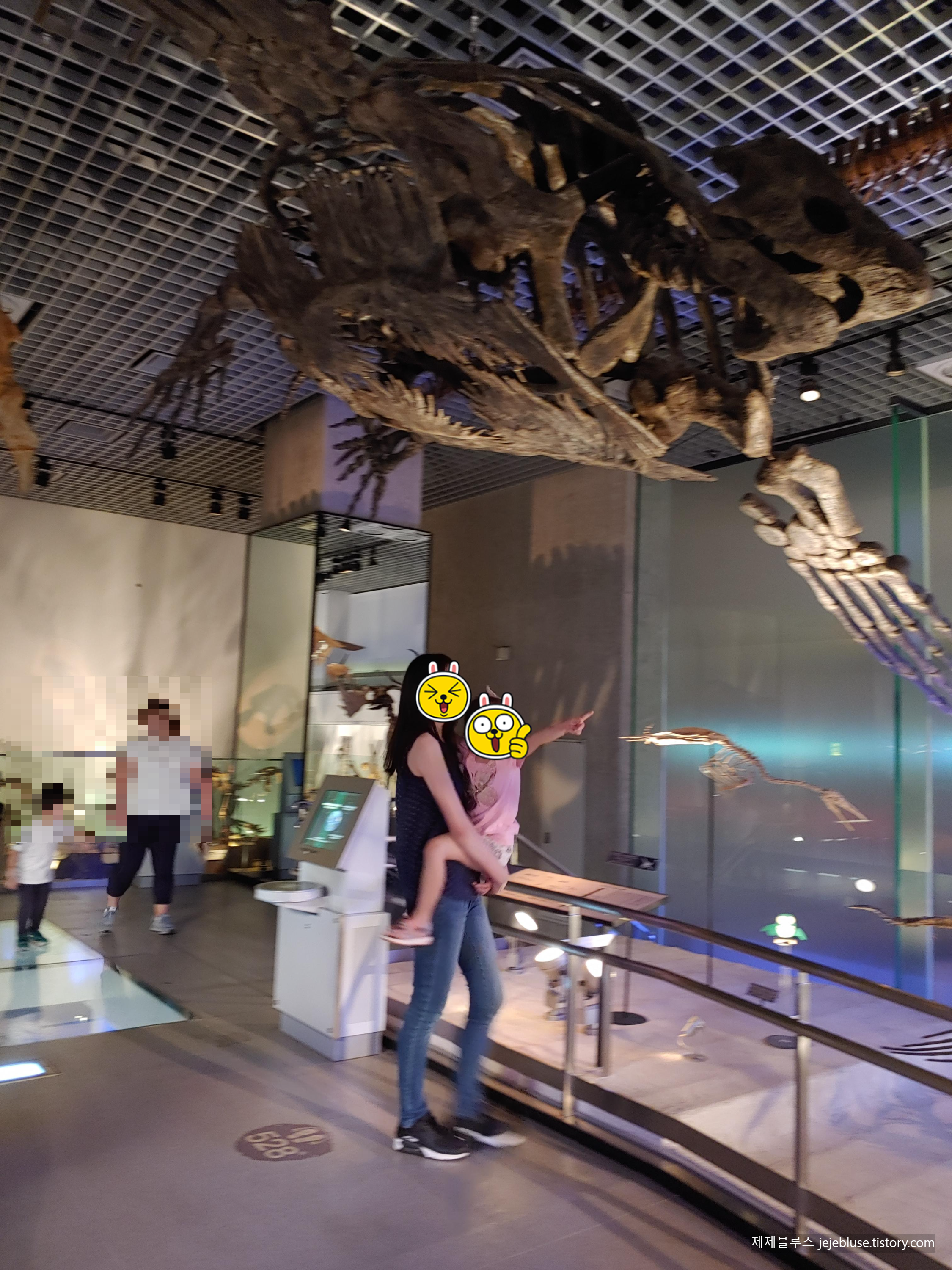 도쿄국립과학박물관-지구관화석