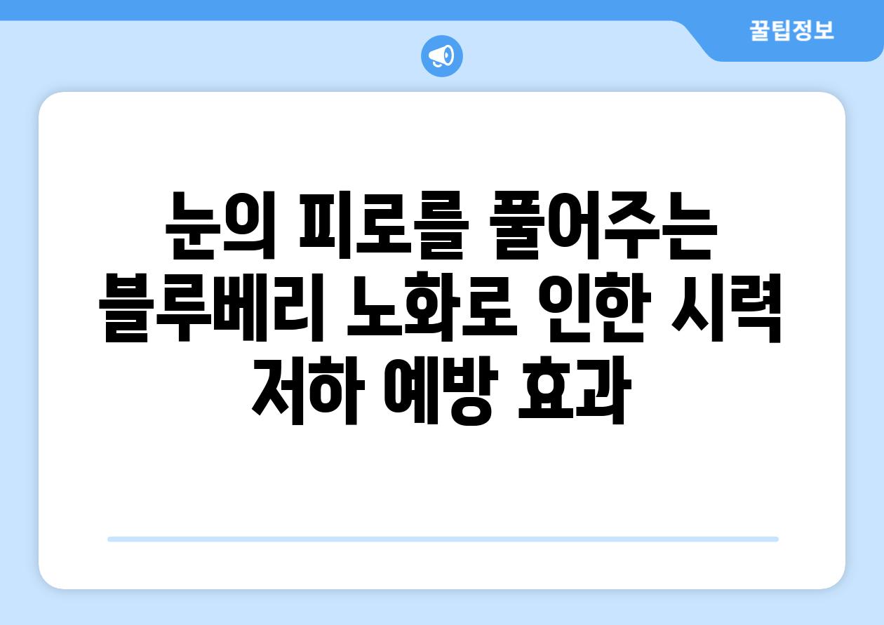 눈의 피로를 풀어주는 블루베리 노화로 인한 시력 저하 예방 효과