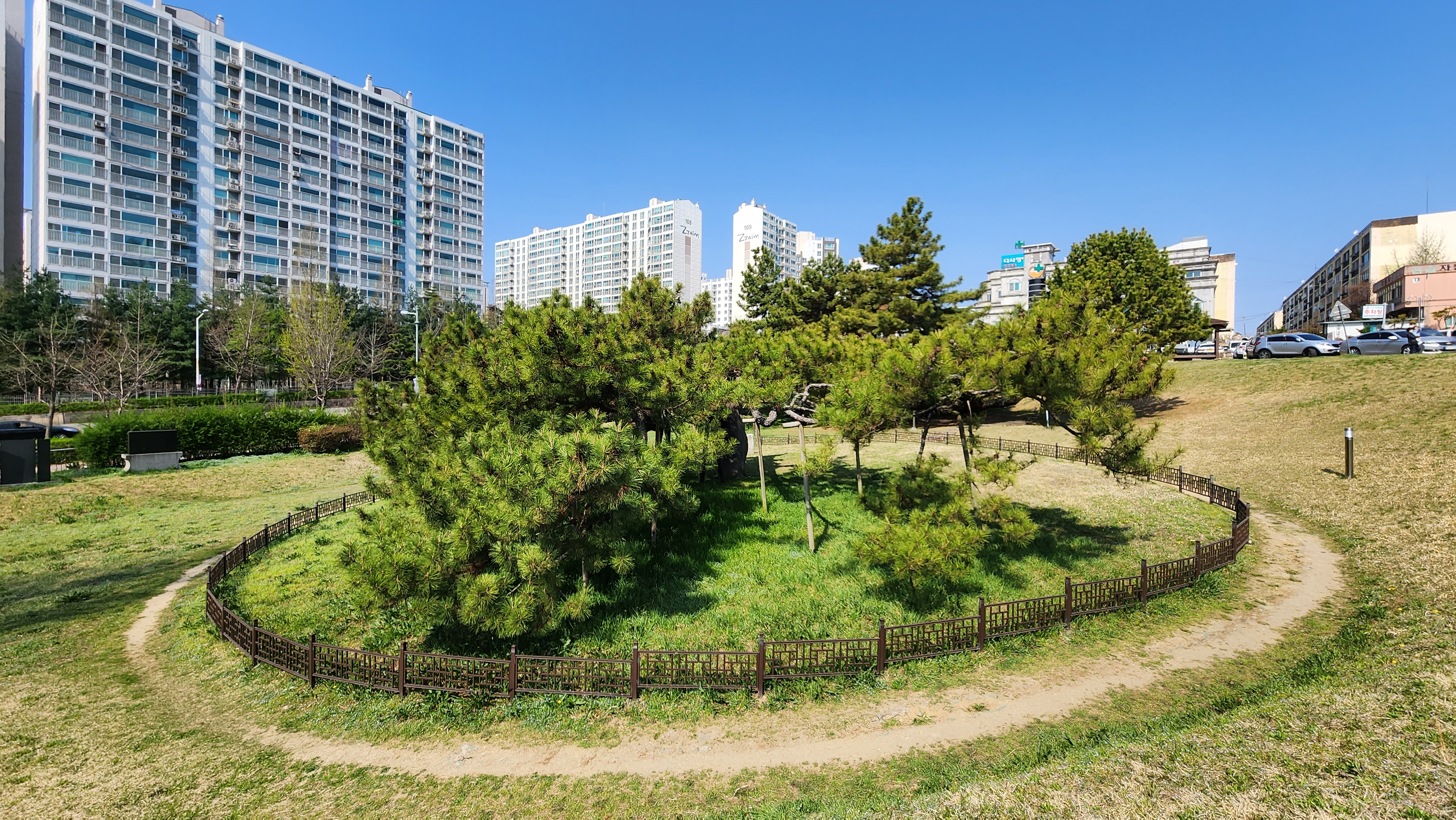 전주 삼천동 곰솔-럭셔리크로우 사진