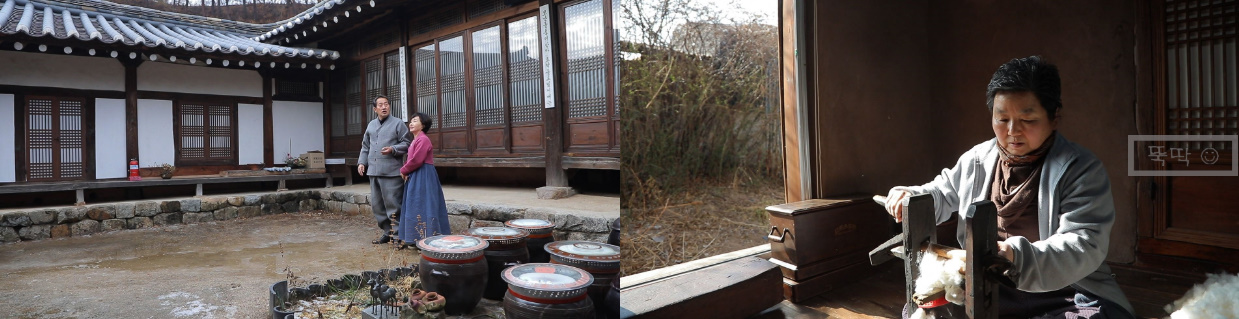  한국기행 경북 안동 하회마을 류복순 침구솜틀집 위치 전화번호 상세정보 목화꽃 목화솜