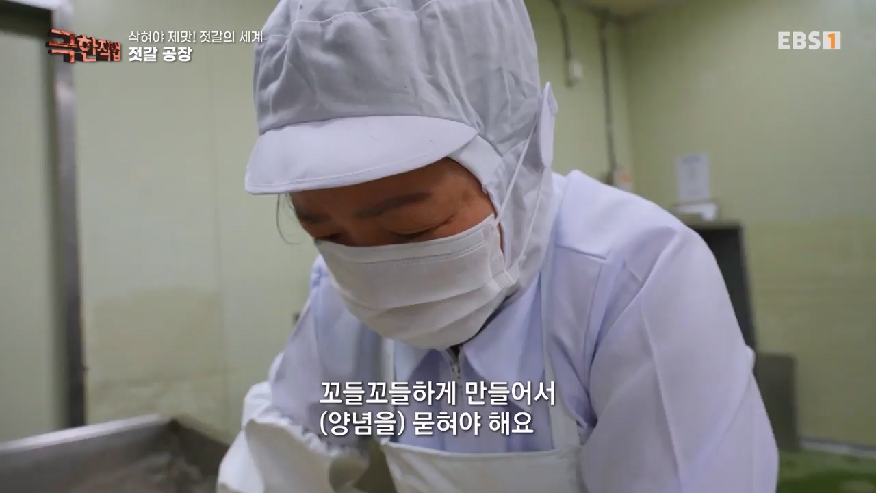 TV - 전 국민의 평생학교 EBS삭혀야 제맛! 젓갈의 세계.mp4_20231125_190846.437.jpg