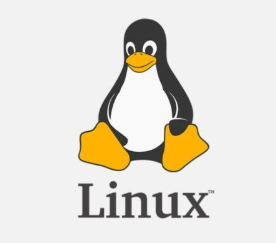 LINUX 로고 이미지