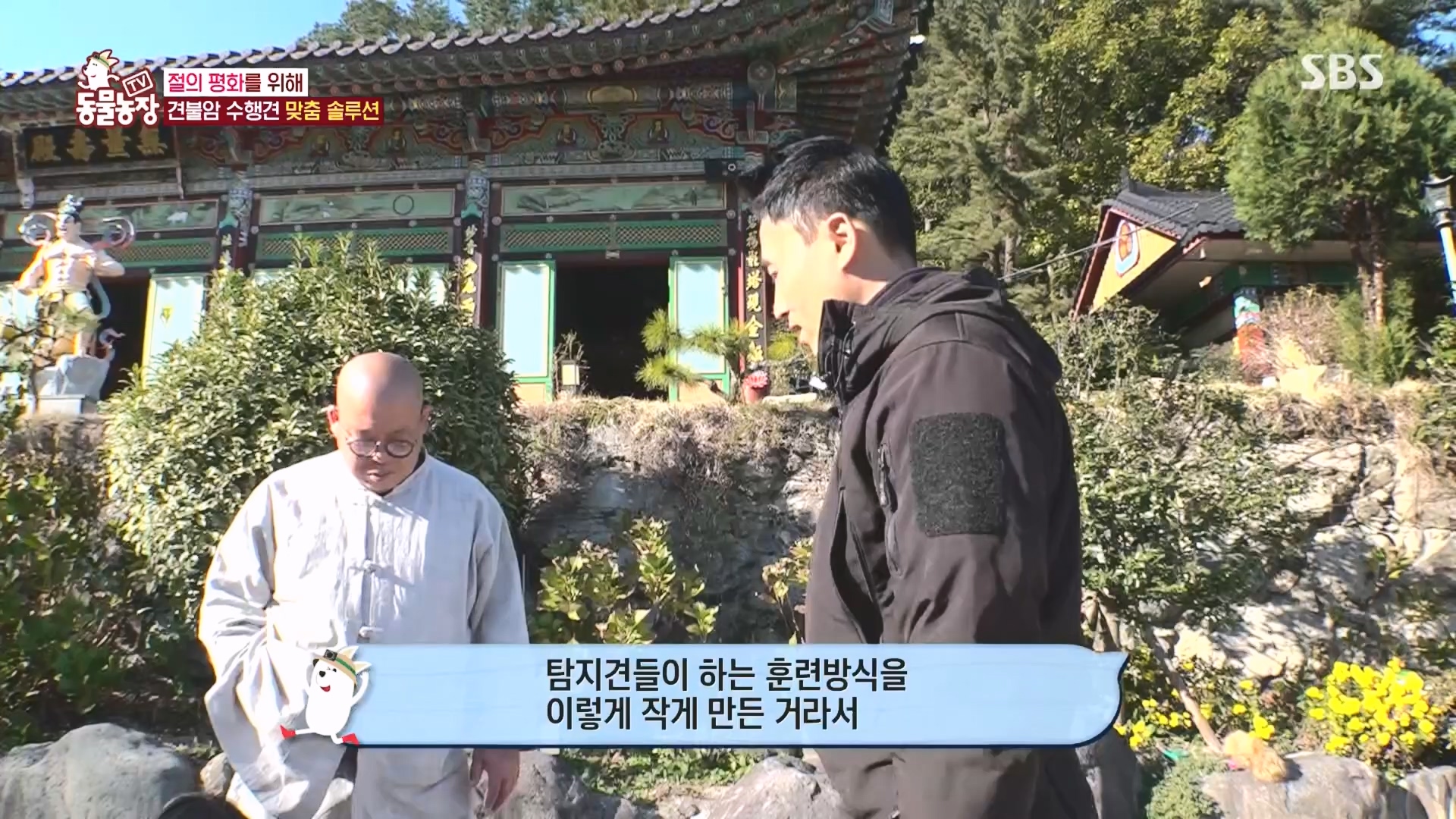 TV 동물농장.E1149.231210p.H264-F1RST.mp4_20231210_171056.781.jpg