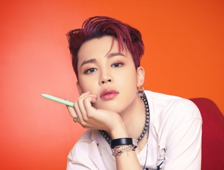  돼지띠의 특징과 장점. 추천직업과 관련 연예인은?