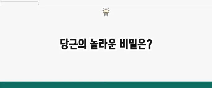 당근 효능: 눈 건강부터 면역력까지, 놀라운 효과 총정리