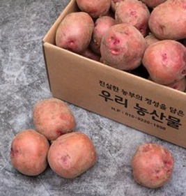 직거래농민장터 포슬포슬 카스테라 햇 홍감자 빨간감자&#44; 3kg 대(찜용)&#44; 1개