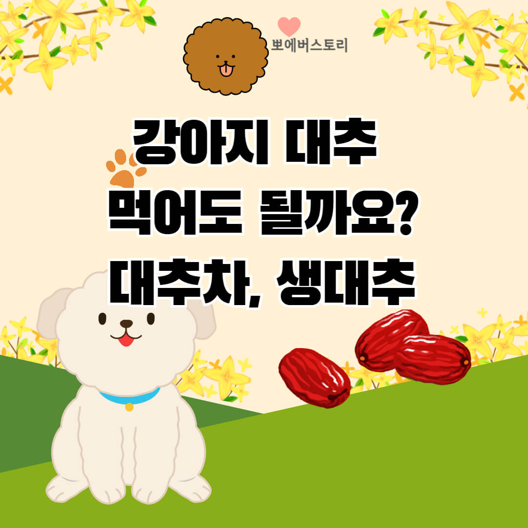 강아지 대추 먹어도 되나요
