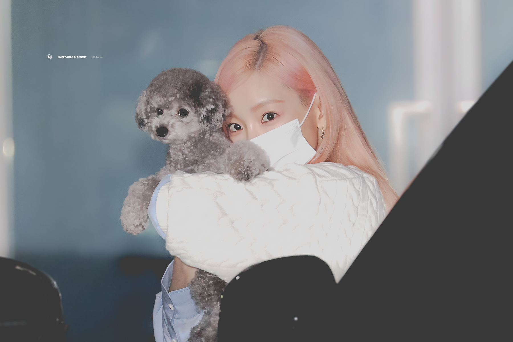 수투 이미지
