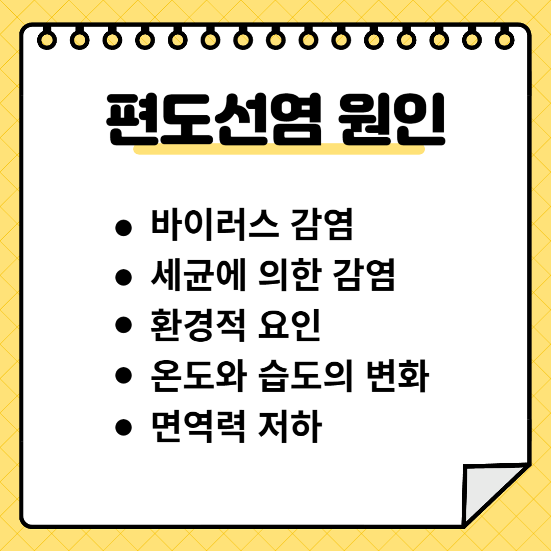 편도선염 원인