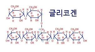  하체운동의 중요성!