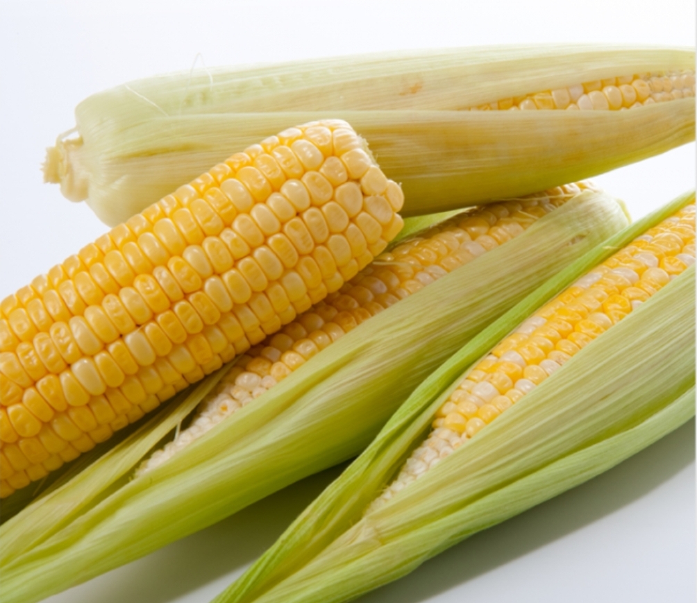  옥수수 맛있게 삶는법..옥수수 수염차 만드는법