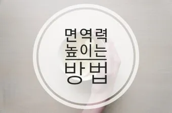 면역력 높이는 하루 루틴과 시간대별 건강 습관_21