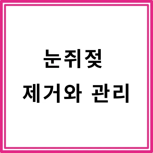 눈쥐젖 제거와 관리, 전문가의 조언과 효과적인 방법을 종합적으로 알아보자