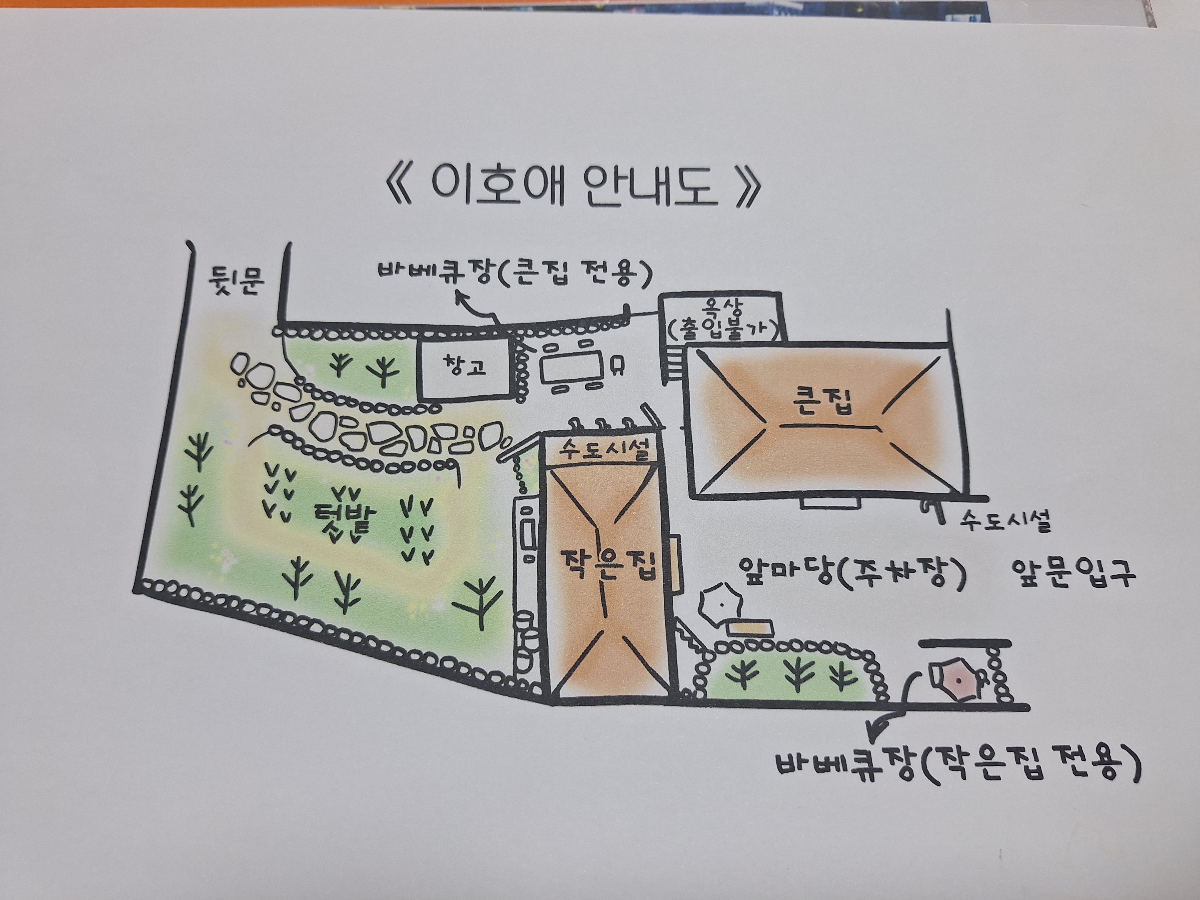 이호애 이미지