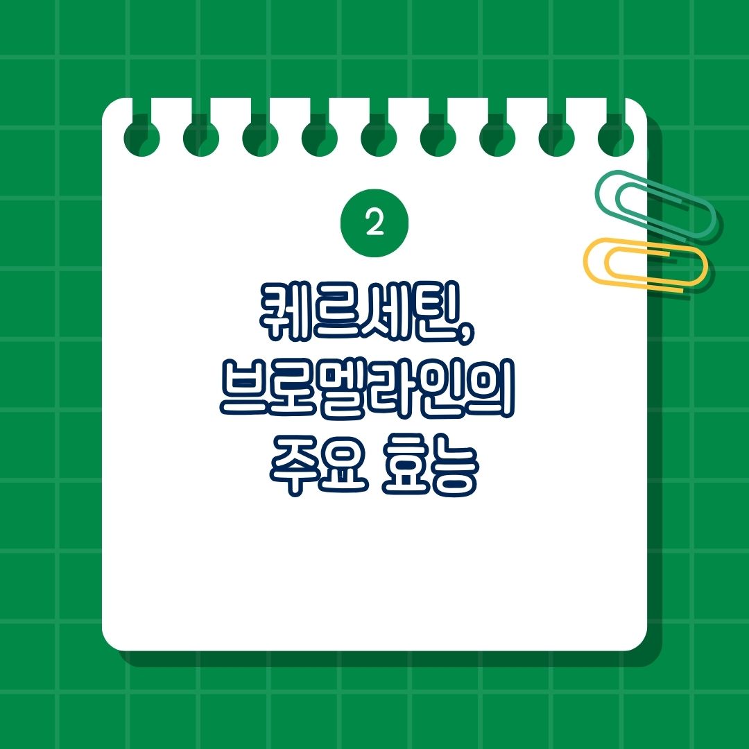 퀘르세틴(Quitertin) 브로멜라인(Bromelain), 퀘르세틴 브로멜라인 비교, 퀘르세틴 브로멜라인 주요 효능