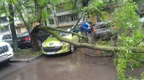  .. 어째서.. 피하지 않은 거지??.jpg