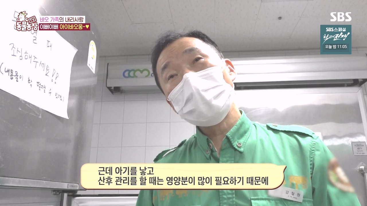 TV 동물농장.E1142.231023p-NEXT.mp4_20231022_173954.725.jpg