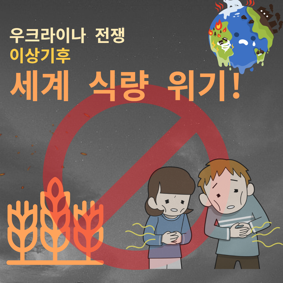 세계 식량 위기