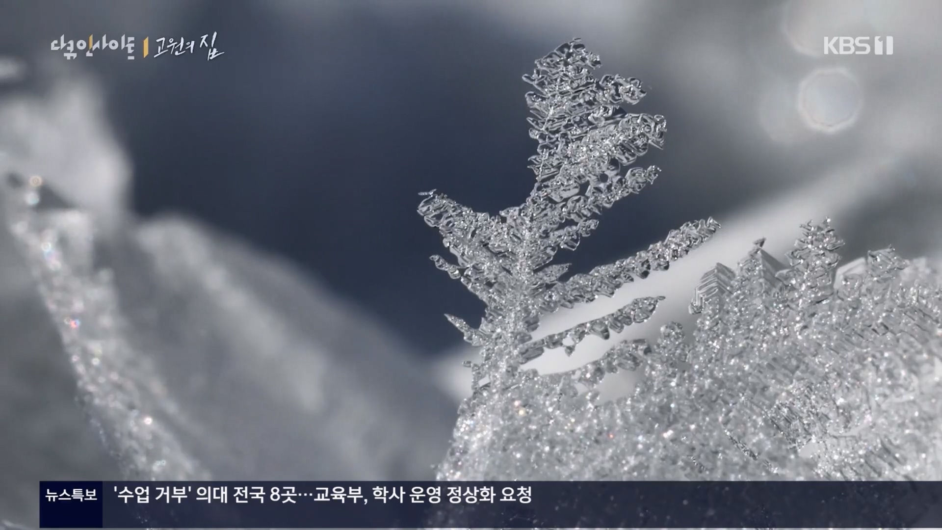 다큐 인사이트.E176.240328p.H264-F1RST.mp4_20240330_162527.636.jpg