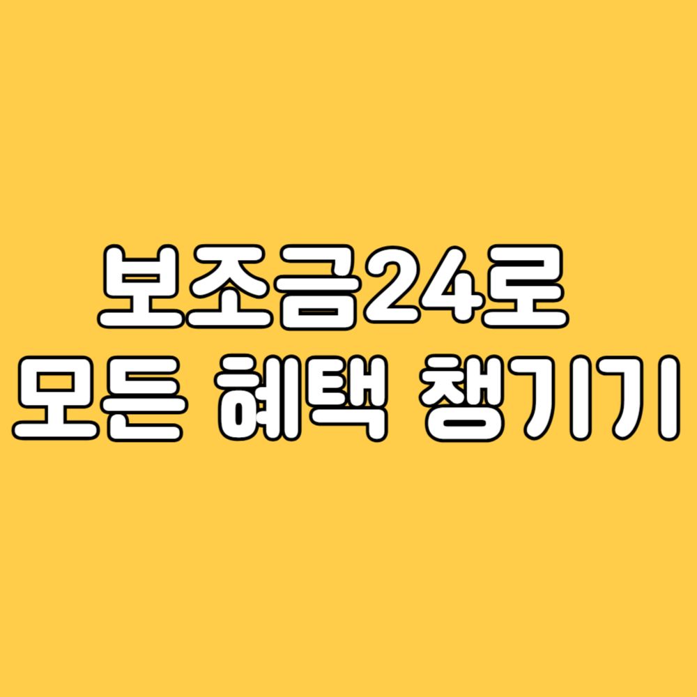 정부24 보조금24
