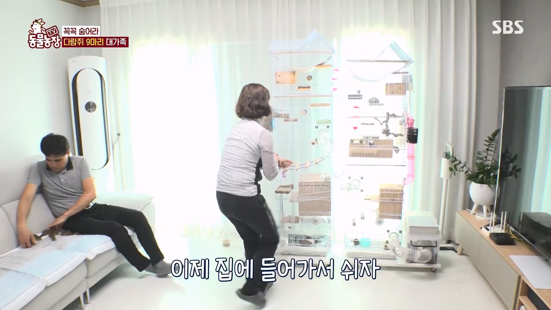 TV 동물농장.E1118.230430p.H264-F1RST.mp4_20230430_172347.253.jpg