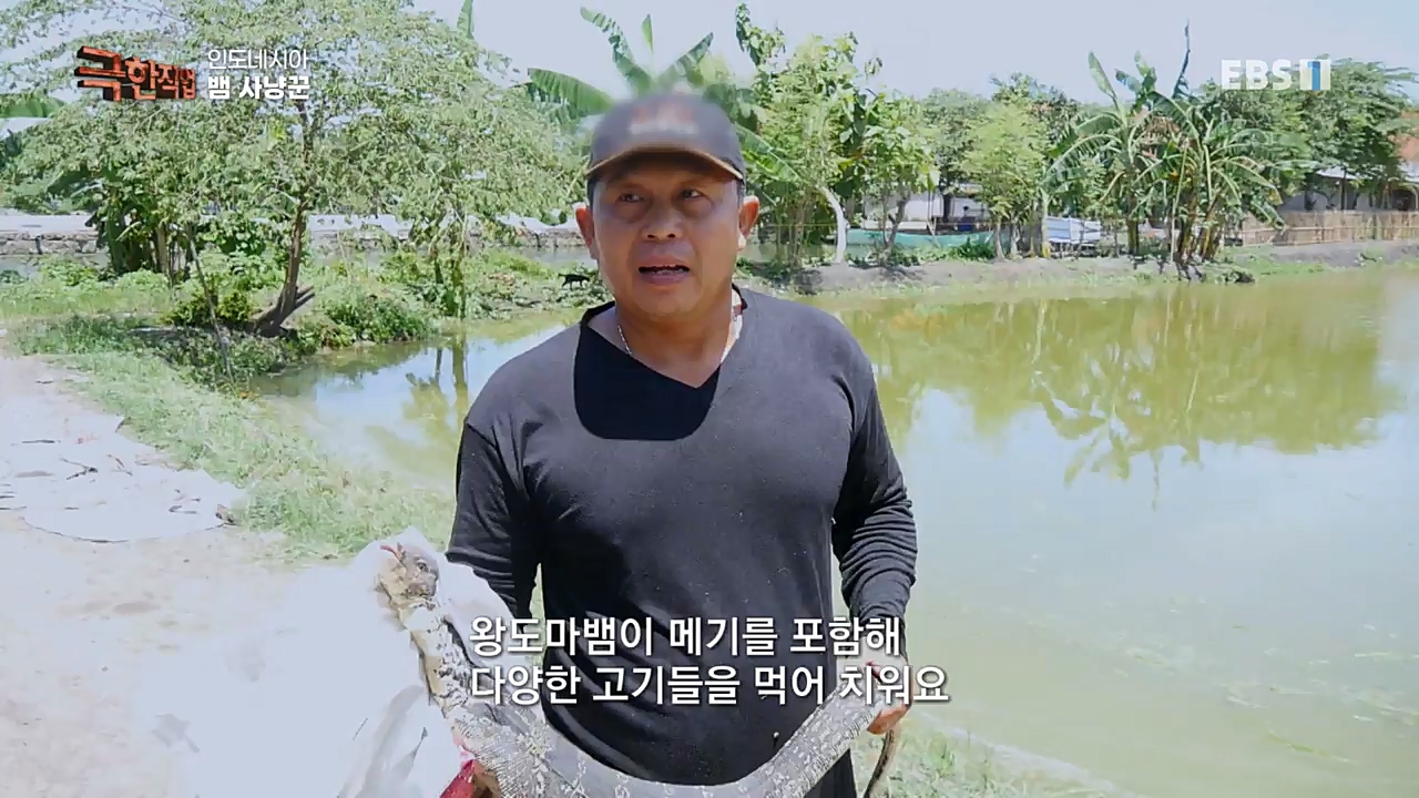 TV - 교육의 중심 EBS인도네시아 뱀사냥꾼.mp4_20221211_181502.059.jpg