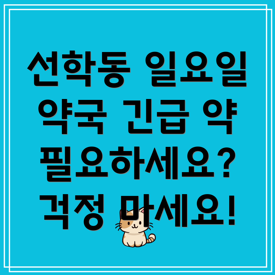 일요일 약국
