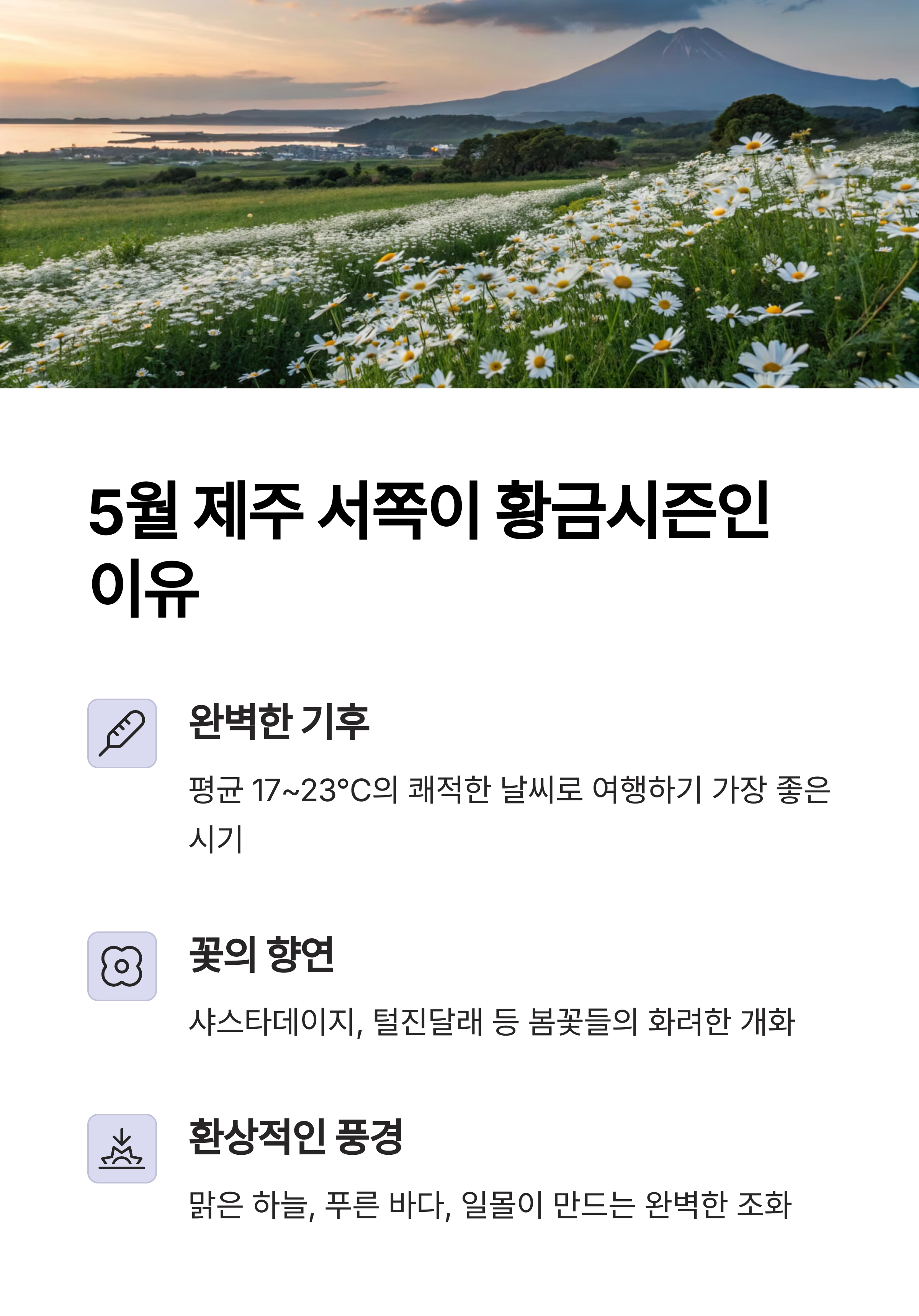 서쪽 이미지