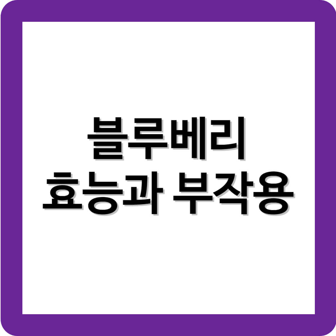 블루베리의 효능과 부작용