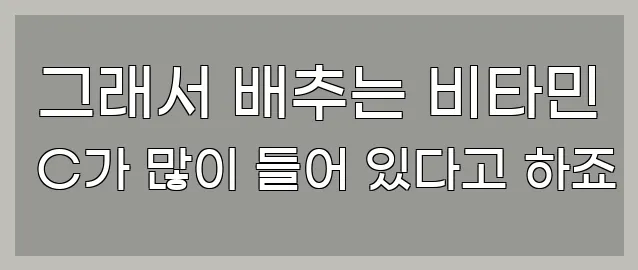  그래서 배추는 비타민 C가 많이 들어 있다고 하죠