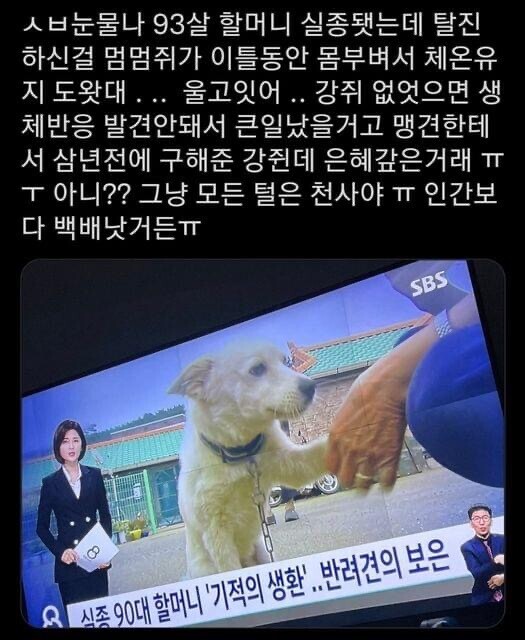   뚜뚜월드