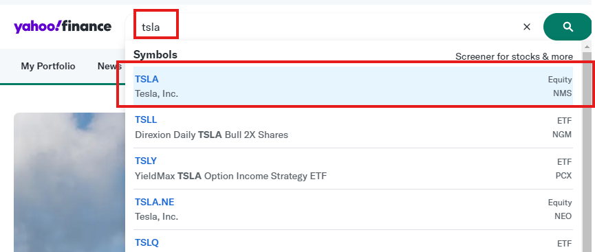 tsla 검색화면