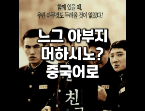  알리알리 차이나