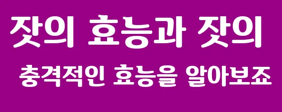 잣의 효능과 잣의 충격적인 효능을 알아보죠