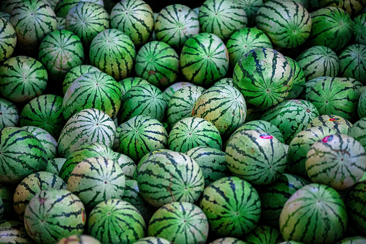 수박