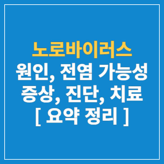 노로바이러스 원인&#44; 전염 가능성과 증상&#44; 진단&#44; 치료 [요약 정리]