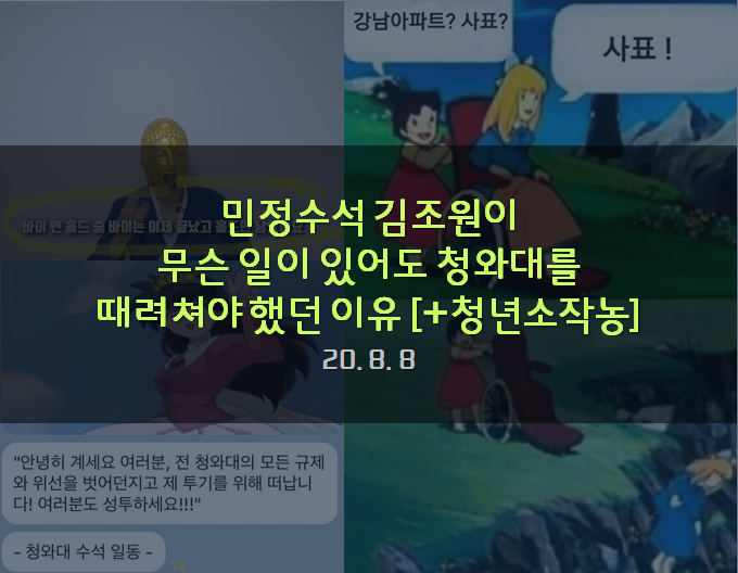  민정수석 김조원이 무슨 일이 있어도 청와대를 때려쳐야 했던 이유