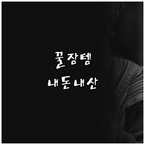 내돈내산 매트리스 토퍼 후기 꿀잠 보