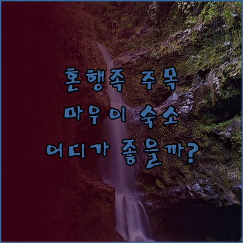 혼행족 주목! 마우이 호스텔 어디가 