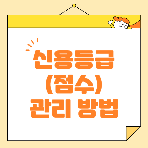 신용 등급 관리, 신용 점수 관리 방법