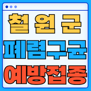 강원도 철원군 폐렴구균 백신 무료 예방접종 비용지원 가격 신청방법 대상자 간격 13가 15가 20가 23가