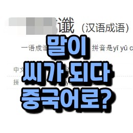  알리알리 차이나
