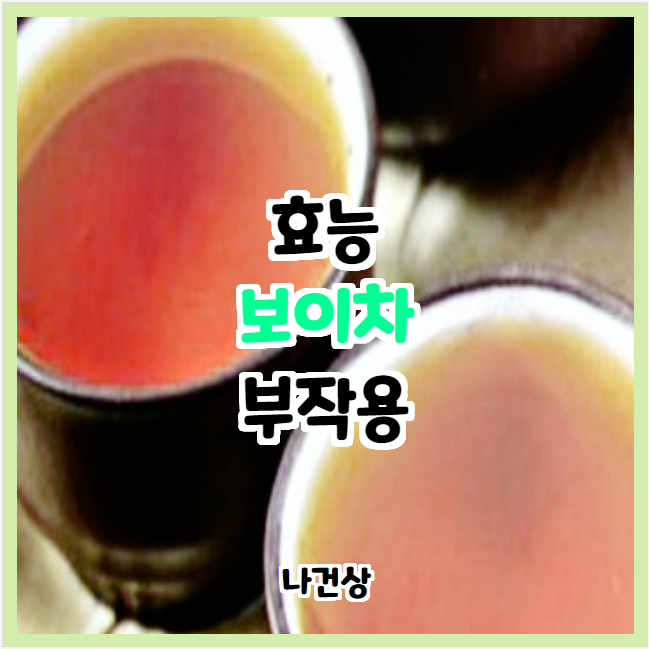  보이차 효능과 부작용 (다이어트차)