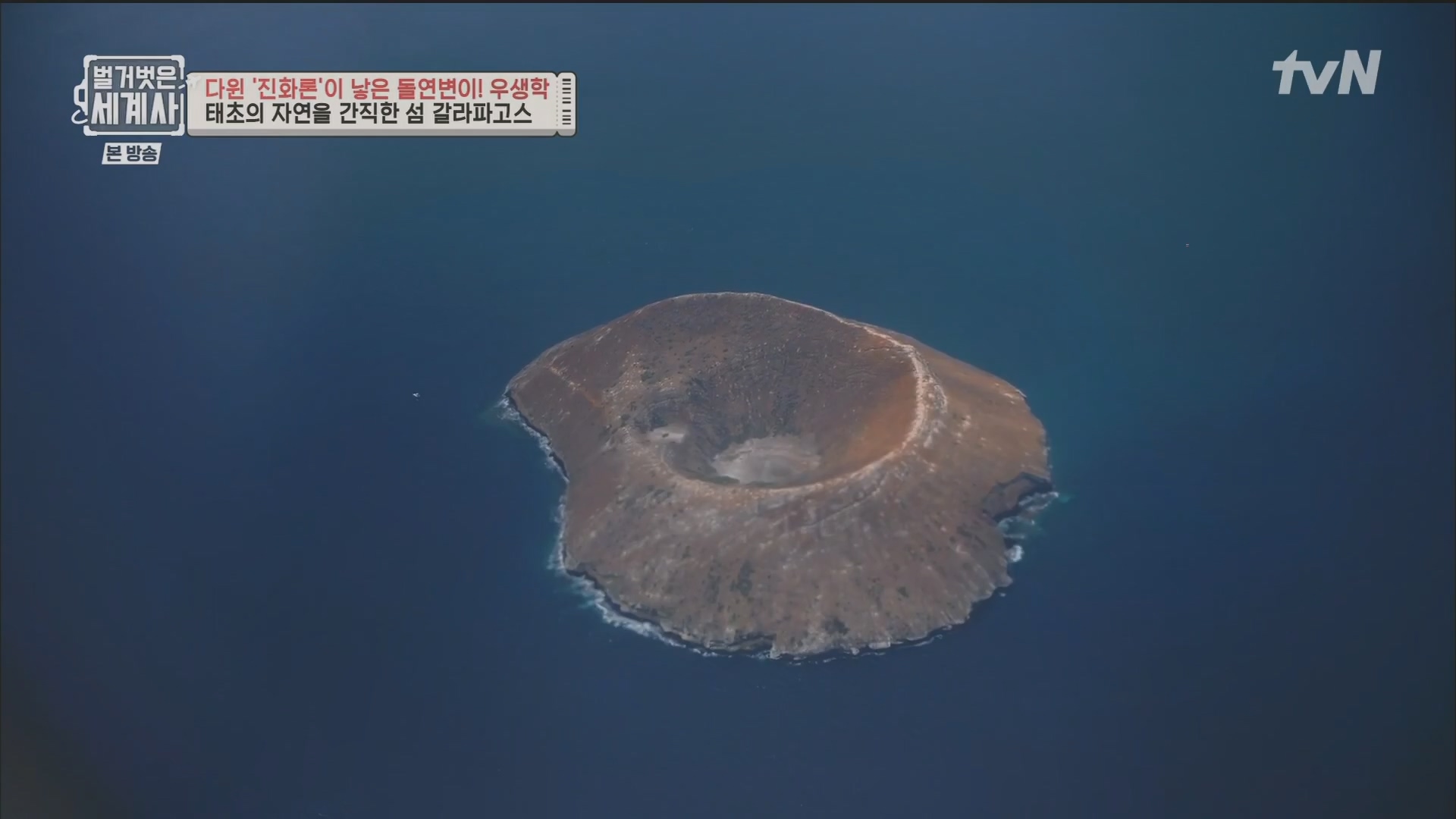 벌거벗은 세계사.E97.230502p.H264-F1RST.mp4_20231224_171024.296.jpg