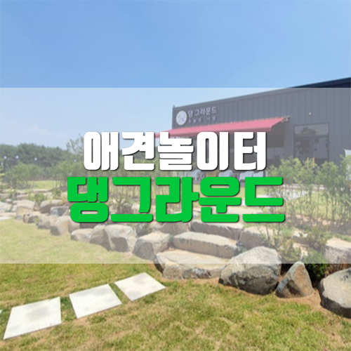  청주 내수 애견카페 댕그라운드 후기