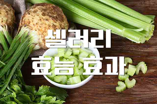  셀러리, 마이너스 칼로리 오해와 진실