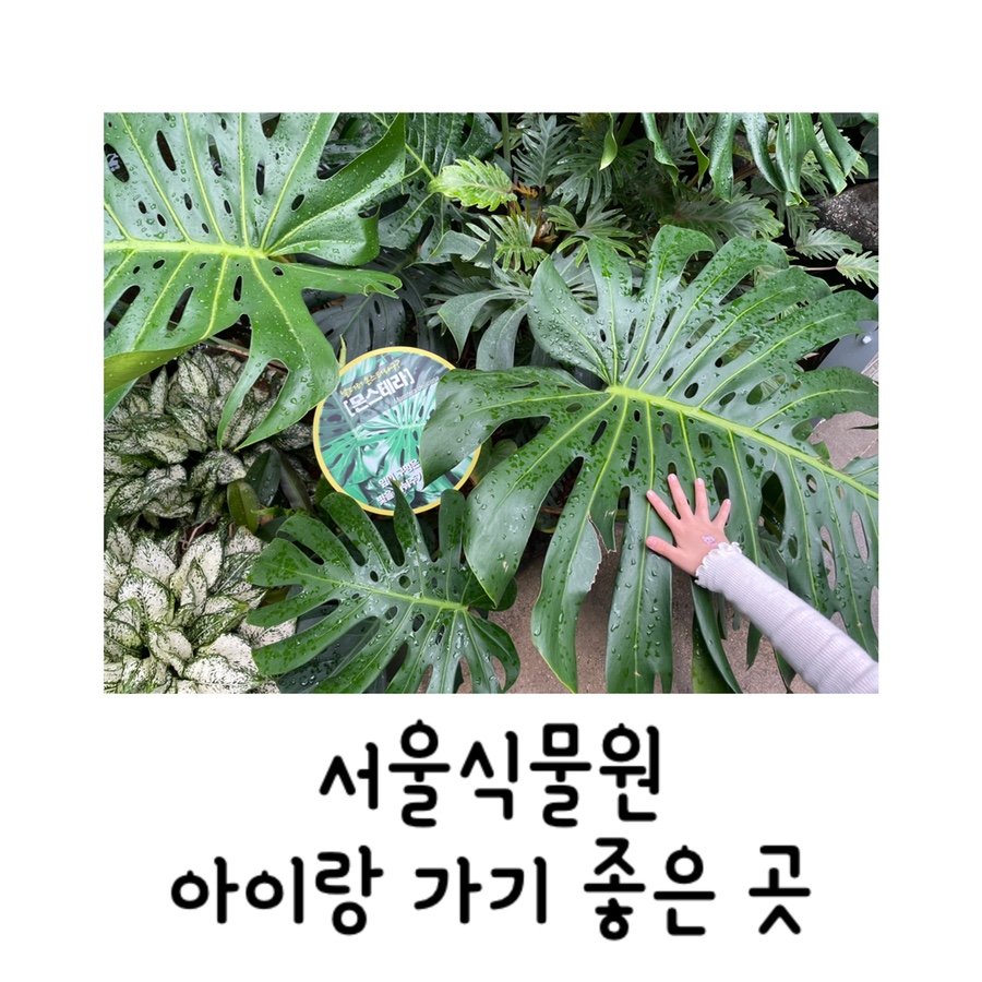 온실정원 이미지