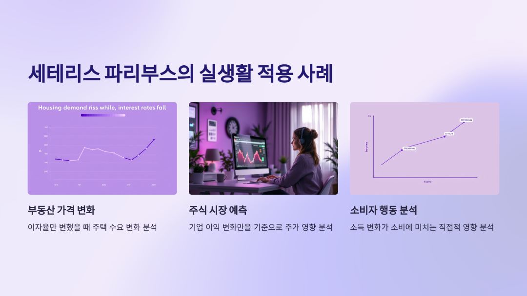 실생활에서의 세테리스 파리부스 적용 사례